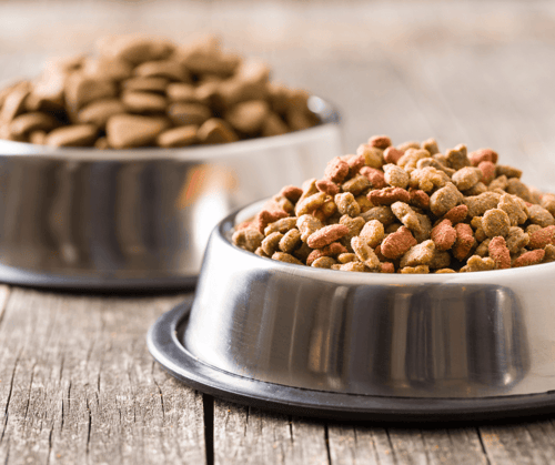 Dog food